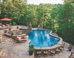 Elite Pools By Aloha Luxury Pools Backyard Sloped Backyard Small Backyard Pools