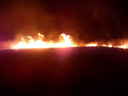 Vremea în moldova următoare actualizare la 07:00. Vremea Sic Cluj 1 Decembrie Sibiu