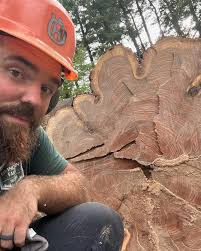 Livingston Family Tree Service‎