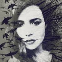 10+ "Anne Stansfield" profiles