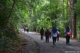 Hutan rekreasi tanjung tuanwald, 120 meter südwestlich. Aktiviti Hutan Rekreasi Tanjung Tuan Xplorasi Destinasi