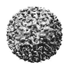 There is a vaccine that protects against it. Hepatitis B Virus Virus 3d Kostenloses Bild Auf Pixabay