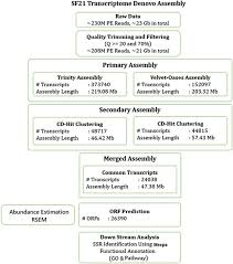 The Flow Chart Of Data Analysis Display Of The Main Steps