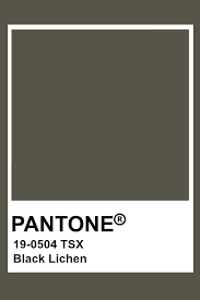 pantone black lichen colour palettes color vintage palette 2645 c