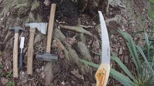 Check spelling or type a new query. Girdling Root Removal Red Maple Tree Youtube