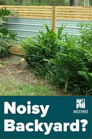 How To Reduce Traffic Noise In Your Backyard Backyardscape Backyard Noise Barrier Outdoor Backyard