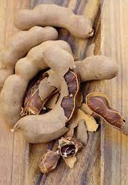 The tambourine dove (turtur tympanistria) is a pigeon which is a widespread resident breeding bird in woodlands and other thick vegetation in africa south of the sahara desert. 8 Best Mexican Tamarind Recipes Ideas Tamarind Recipes Tamarind Recipes
