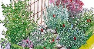 Frische Wurze Aus Dem Garten Ein Krauterbeet Anlegen Garten Krauterbeet Anlegen Und Garten Anlegen