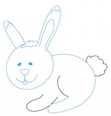 18 gambar kelinci sketsa yang ngehits kumpulan. 21 Cara Menggambar Kelinci Dengan Mudah Kelincipedia Com