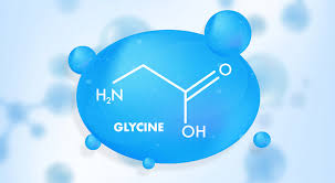 Image result for Glycine
