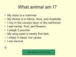 Maybe you would like to learn more about one of these? What Animal Am I
