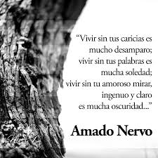 Vivir Sin Tus Caricias Es Mucho Desamparo Amado Nervo Poemas Famosos Amado Nervo Poemas Amado Nervo Frases