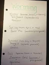 Worming Schedule Healthy Horses Horse Care Tips Horse Therapy