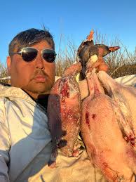 Made goose fat from this spring's harvest!