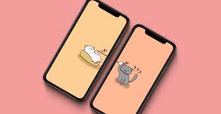Bộ Hinh Nền đoi Mấy Con Meo Cực Dễ Thương Danh Cho điện Thoại Thuthuatjb