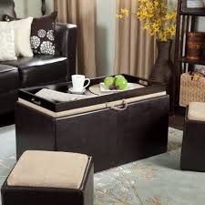 Add a coffee table and a footrest with the addition of the brooklyn + max aaron faux leather square coffee table storage ottoman. Garrett Coffee Table Storage Ottoman With Tray Side Ottomans Finley Home Http Www Amazon Co Decoracion Interiores Casas Decoracion De Interiores Interiores