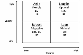 What to Develop: A Lean Supply Chain, Agile or Leagile?