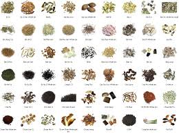 Check spelling or type a new query. Medicinal Herbs Chinese Herbal Materia Medica Includes Flowers Bark Grasses Roots Bugs And Animal Parts There Ar Herbalism Chinese Herbs Medicinal Herbs
