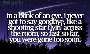 Gone Too Soon And Everyday In Between I Will Miss You Till I Die And Then We Won T Ever Say Goodbye Again Gone Too Soon Quotes Quotes Gone Too Soon