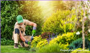 Garden Maintenance - PropertyCare Costa Brava