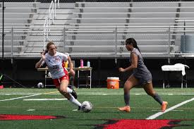 Image result for Emilia schinzii