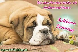 Schonen Sonntag Sonntag Schonen Sonntag Bilder Mit Spruchen
