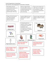 These parts are divided into levels of organization. Levels Of Organisation Teaching Resources