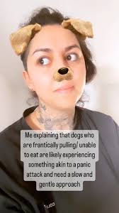 A shake off is a natural and instinctive response that dogs exhibit in  various situations. This behaviour is commonly observed after a stressful  or intense experience, such as encountering a perceived threat