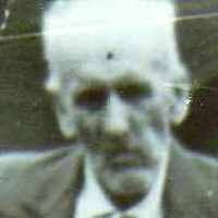 Phillip Collins (1864–1958) • FamilySearch