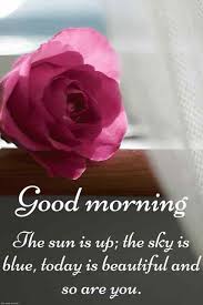 300+ good morning images, pictures & beautiful morning wishes 2021. Best Good Morning Hd Images Wishes Pictures And Greetings