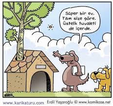 Super Kopek Evi Karikaturu Com