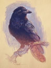 Ezra Tucker Art Paintings In 2020 Crow Art Raven Art Bird Art