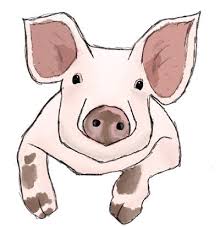 Almost files can be used for commercial. U0macymspfs2jm