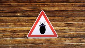 Huiles essentielles punaises de lit. Comment Eviter Les Punaises De Lit En Refuge Espaces