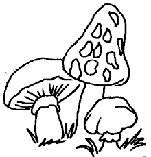 Access free printable coloring pages on coloringdoo website. Coloring Page Mushrooms Coloring Pages 17