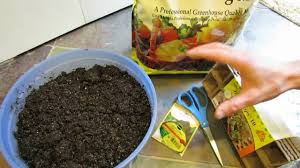 35 x motorcycle bolts screws, date first listed on : Mfg 2016 Review Of Miraclegro Growable Seed Pods A Gimmick How To Make One And Use It Youtube