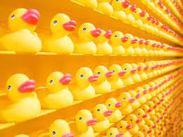 Solving Complex Adaptive Problems with Rubber Ducks | by Paddy Corry |  Serious Scrum | Medium