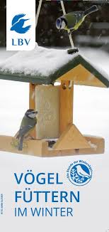 Praktische Tipps Zum Vogel Futtern Lbv Gemeinsam Bayerns Natur Schutzen