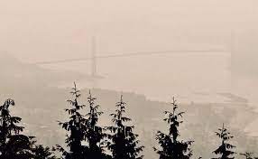 May 24, 2021 · if a smoke alarm repeatedly sounds false alarms or intermittently beeps or chirps, you might be tempted to remove the battery to silence the noise. Car Care Smoke From Wildfires Could Clog Your Cabin Air Filter North Shore News