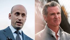 Stephen Miller PUMMELS Gavin Newsom.