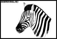 Now, add the eye and the nose. How To Draw Cartoon Zebras Realistic Zebras Drawing Tutorials Drawing How To Draw Zebras Drawing Lessons Step By Step Techniques For Cartoons Illustrations