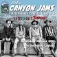 Canyon Jams 2025: The Swinging Lights — Stokes Nature Center