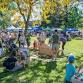 Old Apple Tree Festival 2025