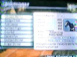 After killing xu zhu, cao pi, and zhen ji, go north to kill cao cao and end the stage. Dynasty Warriors 6 Red Hare King Ps2 King Horses Youtube