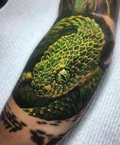 The incredibly deadly viper wouldn't hurt a fly.: Green Viper Snake Tattoo On Arm Schlange Tattoo Tattoos Beeindruckende Tattoos