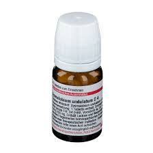 Image result for Xysmalobium