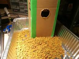 We researched the best ones to keep your cat well fed. How To Build A Vacation Pet Feeder With A Diy Linear Actuator Mad Science Wonderhowto