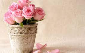 Take Care To Get What You Like Or You Will Be Forced To Like What You Get Latar Belakang