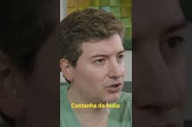 Castanha da Índia #2
