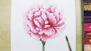 Lvl4 How To Paint A Carnation Flower In Watercolor Flower Drawing Carnation Drawing Flower Painting